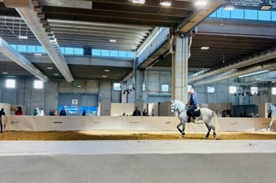 41688747 a2bb 42ef adc5 95192444008c