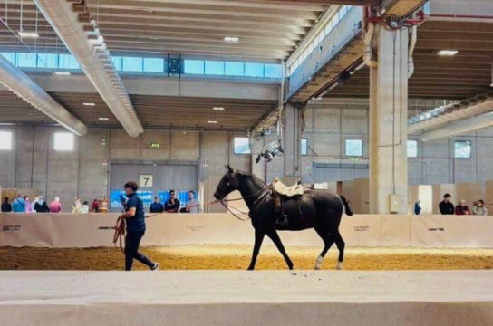 c55a4171 a2ef 4c96 8131 c88316acb49d